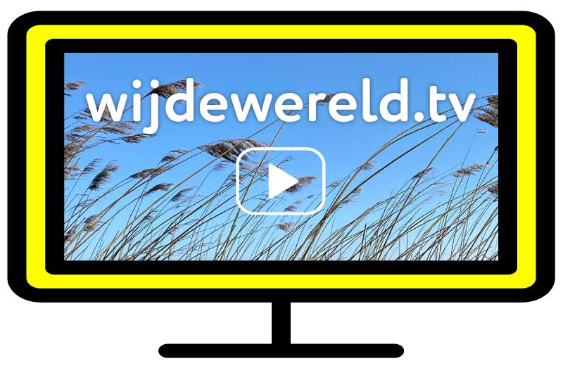 Wijdewereld tv - video en live content voor ouderen, cliënten en patiënten.